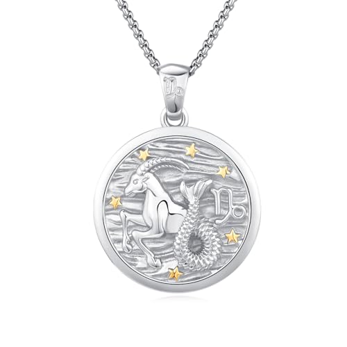 REDSUN Sternzeichen Halskette 925 Sterling Silber Sternzeichen STEINBOCK Kette Astrologie Horoskop Anhänger Sternzeichen Halskette Für Männer Frauen（Silber） von REDSUN