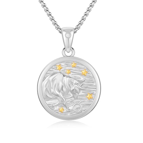 REDSUN Stier Sternzeichen Halskette 925 Sterling Silber 12 Konstellation Kette Tierkreiszeichen Anhänger Astrologie Horoskop Anhänger Sternzeichen Halskette Für Männer Frauen（Silber） von REDSUN