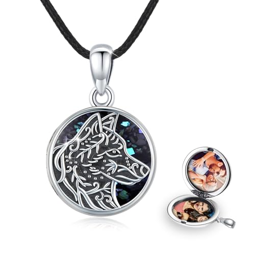 REDSUN Wolf Medaillon Kette 925 Sterling Silber Foto Amulett Medallion mit Foto Schmuck Anhänger Halskette für Tochter Mädchen Mutter Geschenke (02-Abalone) von REDSUN