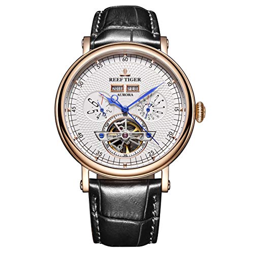 Reef Tiger Top Brand Luxus Armbanduhr Multifunktions Automatik Uhren Herren Tourbillon Uhr RGA1903, Rga1903-pwb, Band von REEF TIGER