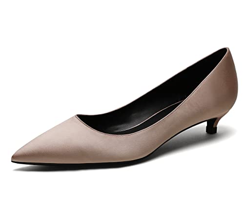 REKALFO Spitz zulaufende Absätze für Damen Satin Damenpumps mit Kitten Heel Slip On Damenschuhe für Hochzeitsfeier Urlaub Champagner 40 EU von REKALFO
