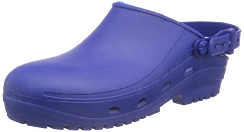 REPOSA MAX Clogs, Hygieneclogs, latexfrei, bequem, leicht, geschlossenes Obermaterial, anatomische Sohle, SRC-Sohle, Farbe Blau, Größe 39 von REPOSA