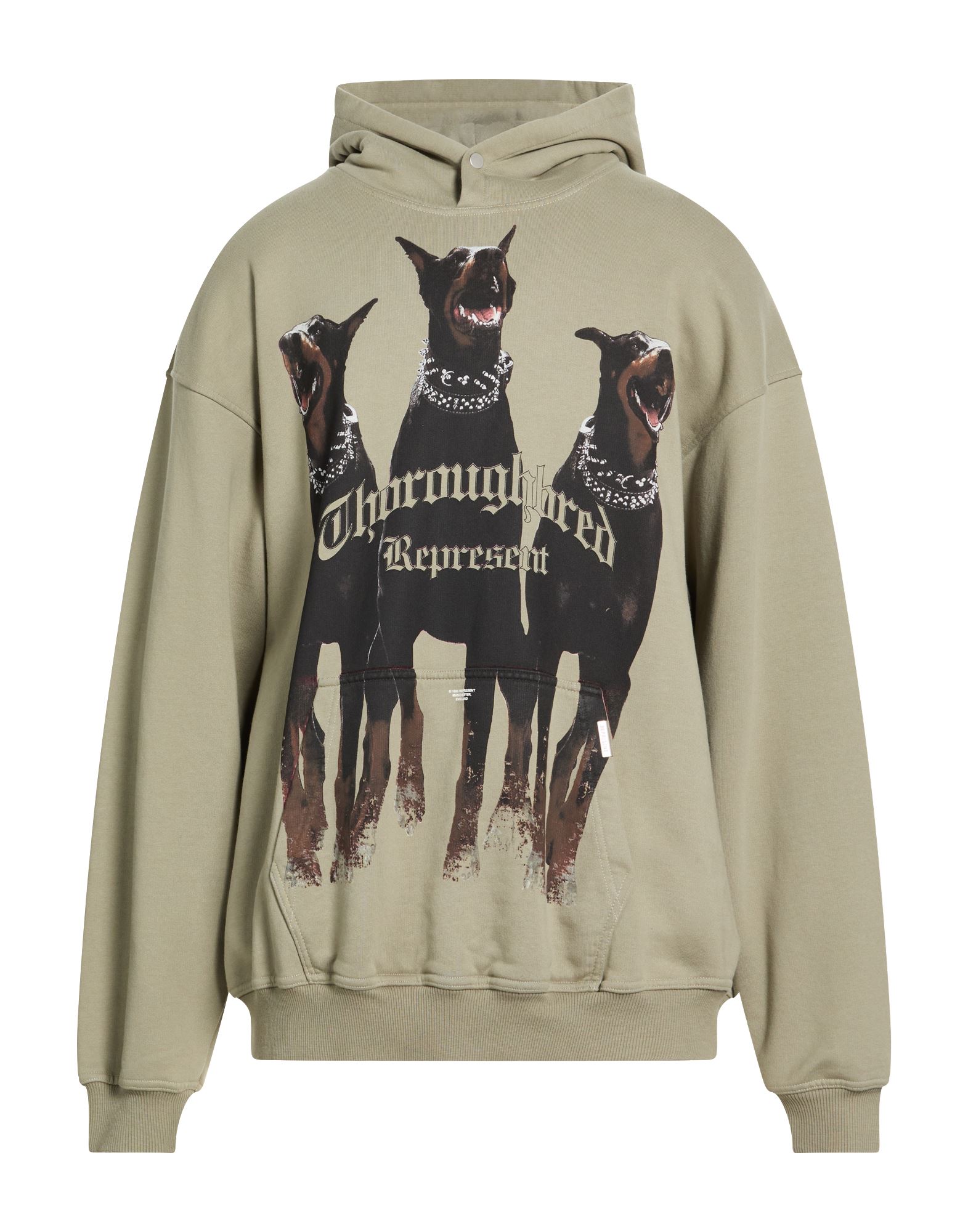 REPRESENT Sweatshirt Herren Salbeigrün von REPRESENT