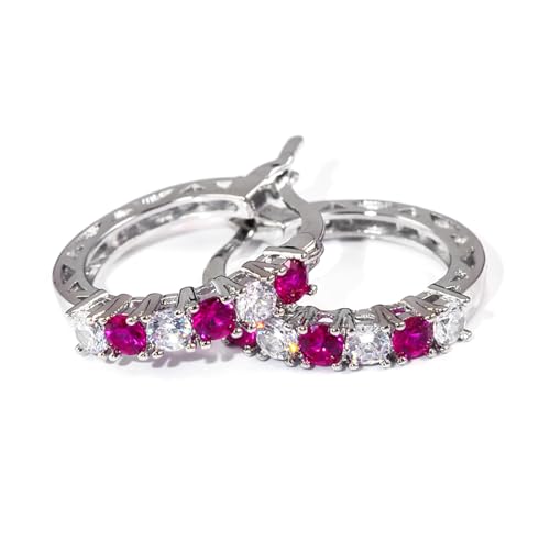 Anspruchsvolle Zirkonia Ohrringe Zarte Zirkonia Ohrringe Stilvolle Ohrclip Charm für verschiedene Anlässe Party von RETUOLWAG