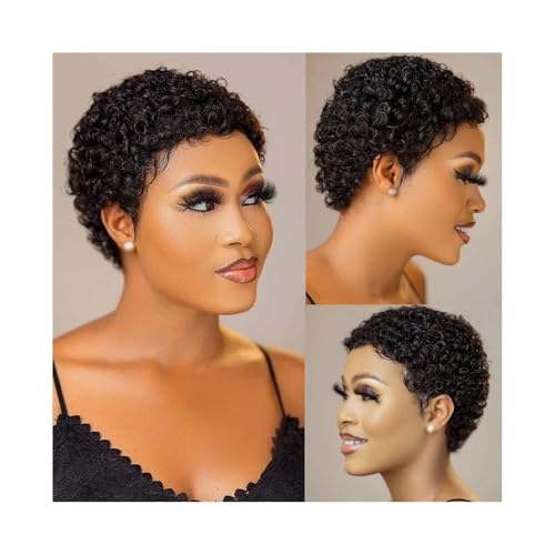 Perücken Kurze Afro-Lockenperücken for Schwarze Frauen, Echthaarperücke, 100% brasilianisches Echthaar Perücke Fasching von RFSHOPQW