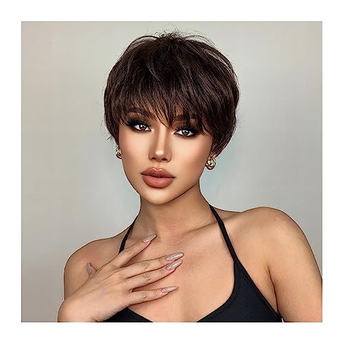 Wigs Short Cut Dark Brown Synthetic Wigs, Natural Straight Layered Wig with Fluffy Fringe for Women, Daily Heat Resistant Hair Wig Fancy Dress von RFSHOPQW