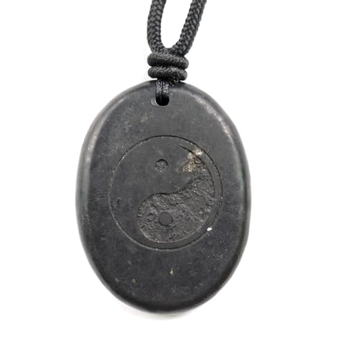 RICHRAIN Halskette mit Anhänger aus echtem natürlichem Schungit, spirituelle Geschenke für Frauen, Kristallheilung, Kristallgeschenke für Männer (Oval yin and yang) von RICHRAIN