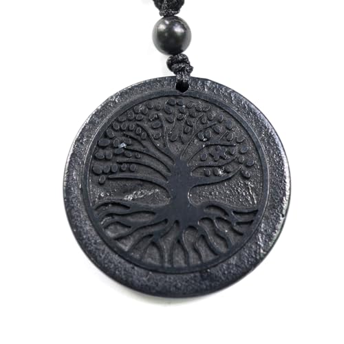 RICHRAIN Halskette mit Anhänger aus echtem natürlichem Schungit, spirituelle Geschenke für Frauen, Kristallheilung, Kristallgeschenke für Männer (Tree of Life) von RICHRAIN
