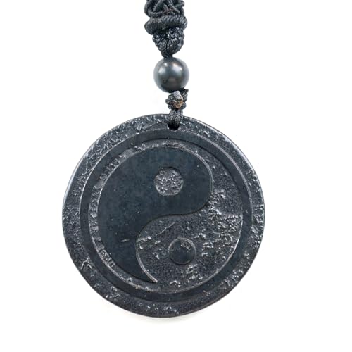 RICHRAIN Halskette mit Anhänger aus echtem natürlichem Schungit, spirituelle Geschenke für Frauen, Kristallheilung, Kristallgeschenke für Männer (YIN and YANG) von RICHRAIN