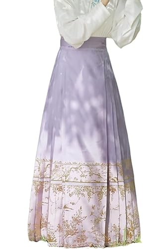 Frauen Pferdegesicht pliserer Rock traditioneller Hanfu -Rock Chinesische Pferdegesichtsrock täglich Kleidung von RICOCHO