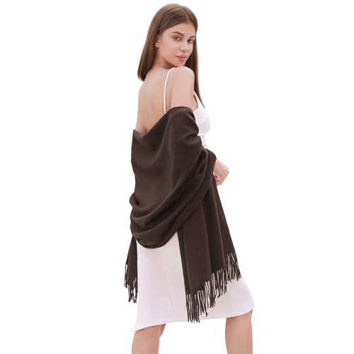 RIIQIICHY Damen Schal Caffè Stola Festlich für Abendkleid Pashmina Schals Tücher für Frauen Hochzeit Schultertuch Frühling Winter Schal Warme Kuschelig von RIIQIICHY