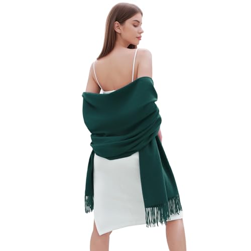 RIIQIICHY Damen Schal Grün Stola Festlich für Abendkleid Pashmina Schals Tücher für Frauen Hochzeit Schultertuch Frühling Winter Schal Warme Kuschelig von RIIQIICHY