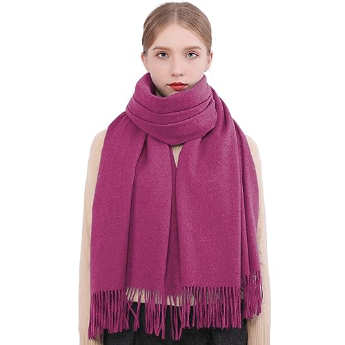 RIIQIICHY Damen Schal lila Stola Festlich für Abendkleid Pashmina Schals Tücher für Frauen Hochzeit Schultertuch Frühling Winter Schal Warme Kuschelig von RIIQIICHY