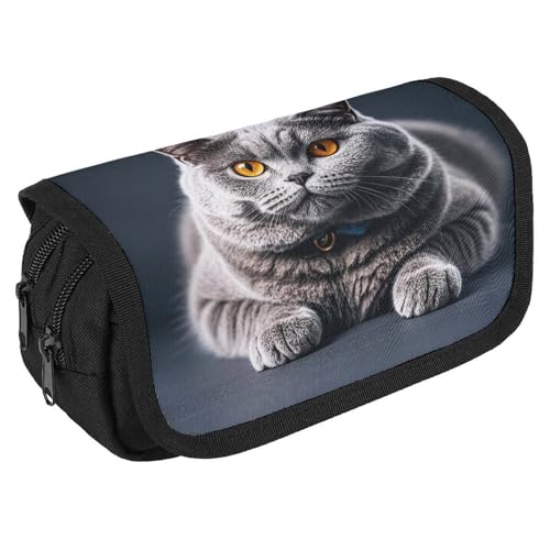 RKJVB Federmäppchen, Motiv: graue Katze liegt liegend, großes Fassungsvermögen, Stiftebox, Doppel-Reißverschluss, Aufbewahrungstasche, 2 Fächer, tragbare multifunktionale Tasche, von RKJVB