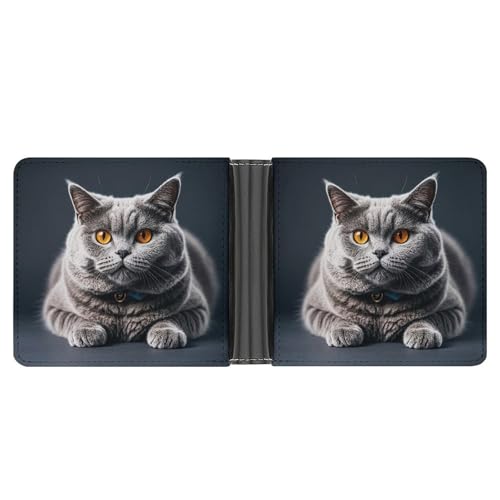 RKJVB Klassische Slimfold Geldbörse für Damen, eine graue Katze liegt liegend, faltbares Kreditkartenetui für Herren, Ledergeldbörse mit Ausweisfenster und mehreren Kartenfächern, Mini-Geldbörse, eine von RKJVB