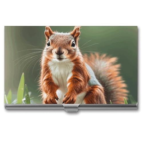 RKJVB Visitenkartenhalter, niedliche Eichhörnchen, schlankes Visitenkartenetui, professionelle Namenskartenhalter, Geldbörse, Namenskarten-Organizer, minimalistische Tasche, Kartenetuis für Männer und RKJVB Visitenkartenhalter, niedliche Eichhörnchen, schlankes Visitenkartenetui, professionelle Namenskartenhalter, Geldbörse, Namenskarten-Organizer, minimalistische Tasche, Kartenetuis für Männer und von RKJVB