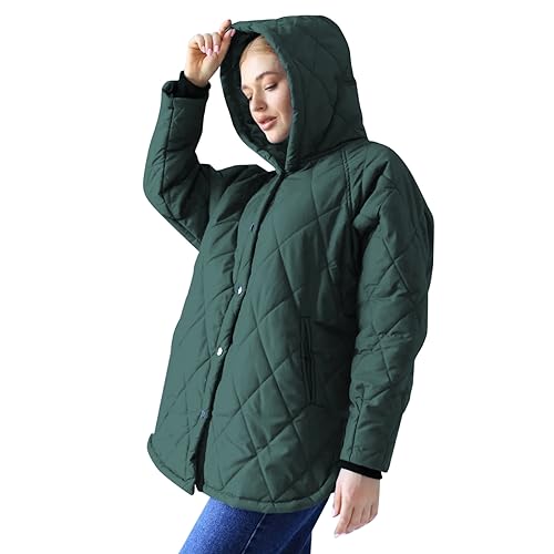 RKaixuni Winterjacken Damen Gesteppt Leichte Puffer Jacke Casual Daunenmantel Langarm Kapuze Warm Anoraks Parka, grün, 36 von RKaixuni
