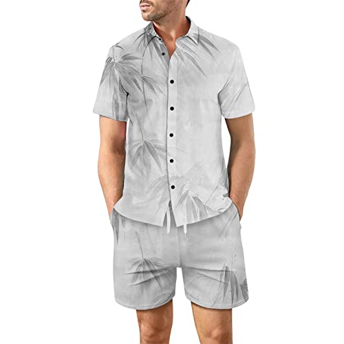 RLEHJN Hawaii Hemd Herren mit 3D-Druck Set 2 Teiliges Strandbekleidung Strandanzug Lässig Trainingsanzug Outfit Strandhose Hawaiihemd Tshirt Sportanzug Hawaii Set Männer Sommersanzug Activewear von RLEHJN