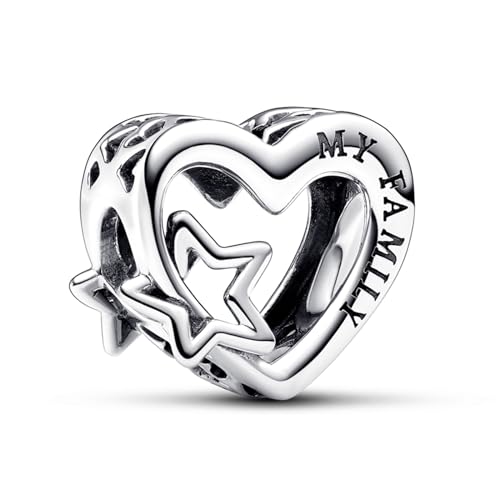 RMMY My Family Heart Charm Anhänger für Armband Halskette Muttertag Geschenk für Frauen,925 Sterling Silber Beads with Zirkonia Schmuck von RMMY