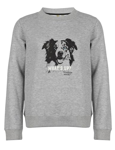 ROADSIGN australia Damen Sweatshirt lässiger Herbstbegleiter mit Hunde-Print für entspannte Freizeitlooks grau, XL von ROADSIGN australia