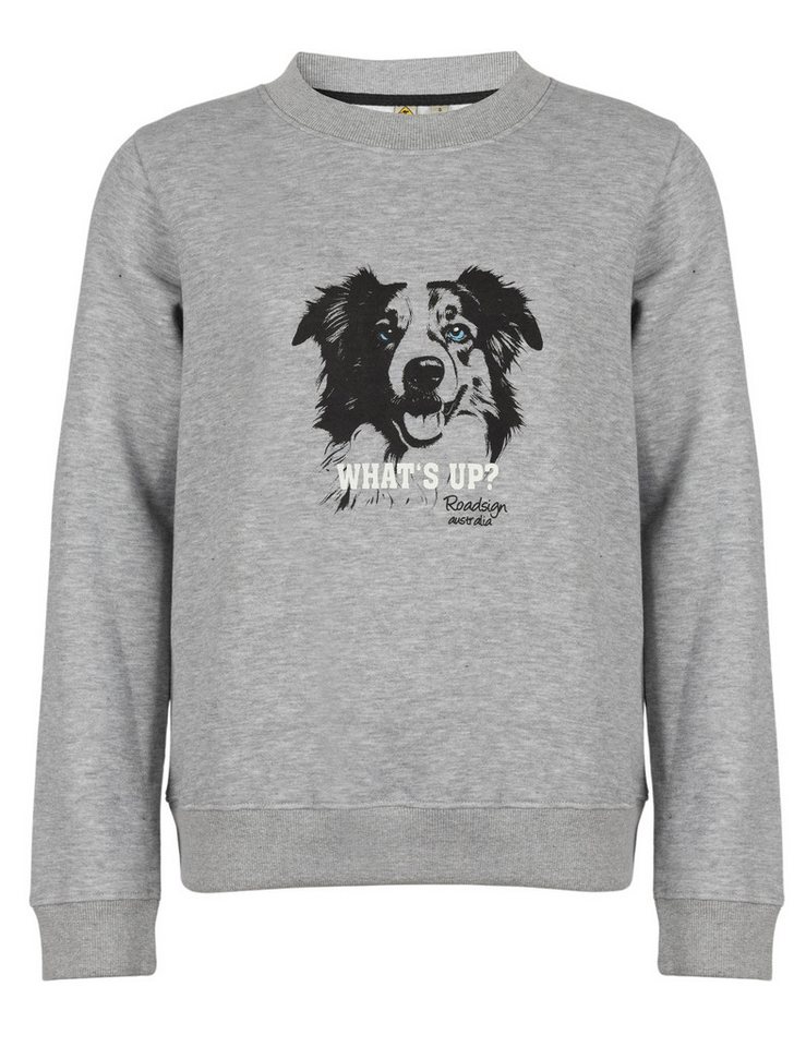 ROADSIGN australia Sweatshirt Dog (1, 1-tlg., 1) lässiger Herbstbegleiter mit Hunde-Print für entspannte Freizeitlooks von ROADSIGN australia