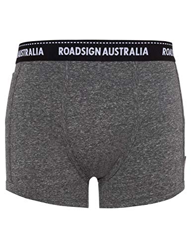 Roadsign Australia Herren Retroshorts in melierter Optik grau | 5/M von Roadsign Australia