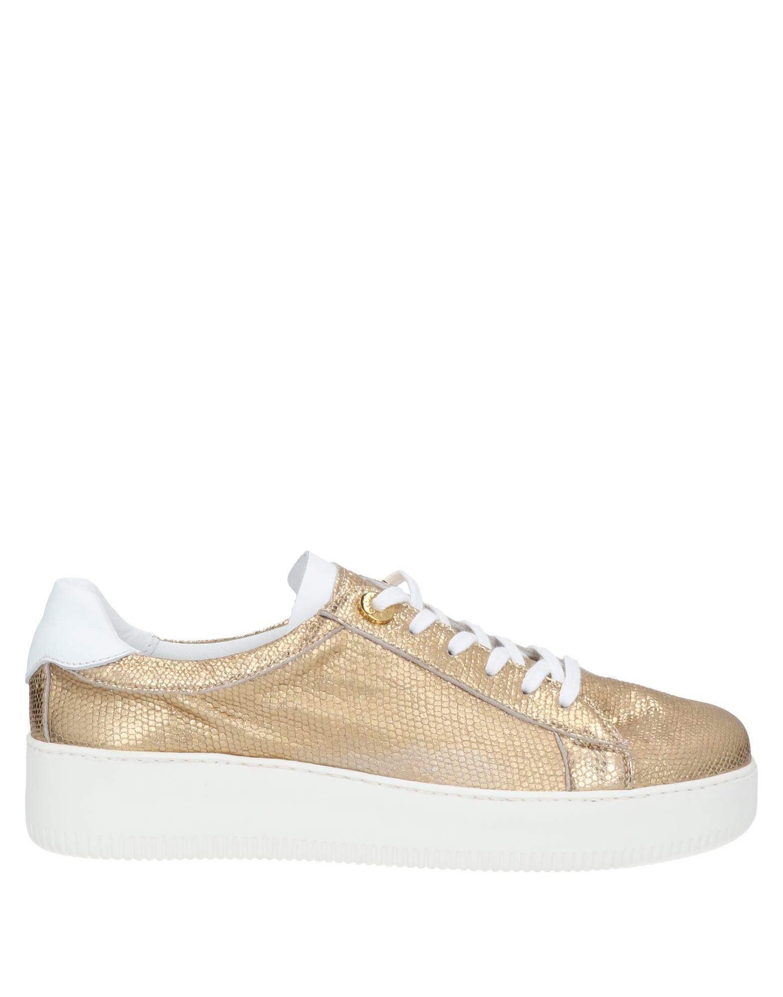 ROBERTO BOTTICELLI Sneakers Damen Platin von ROBERTO BOTTICELLI