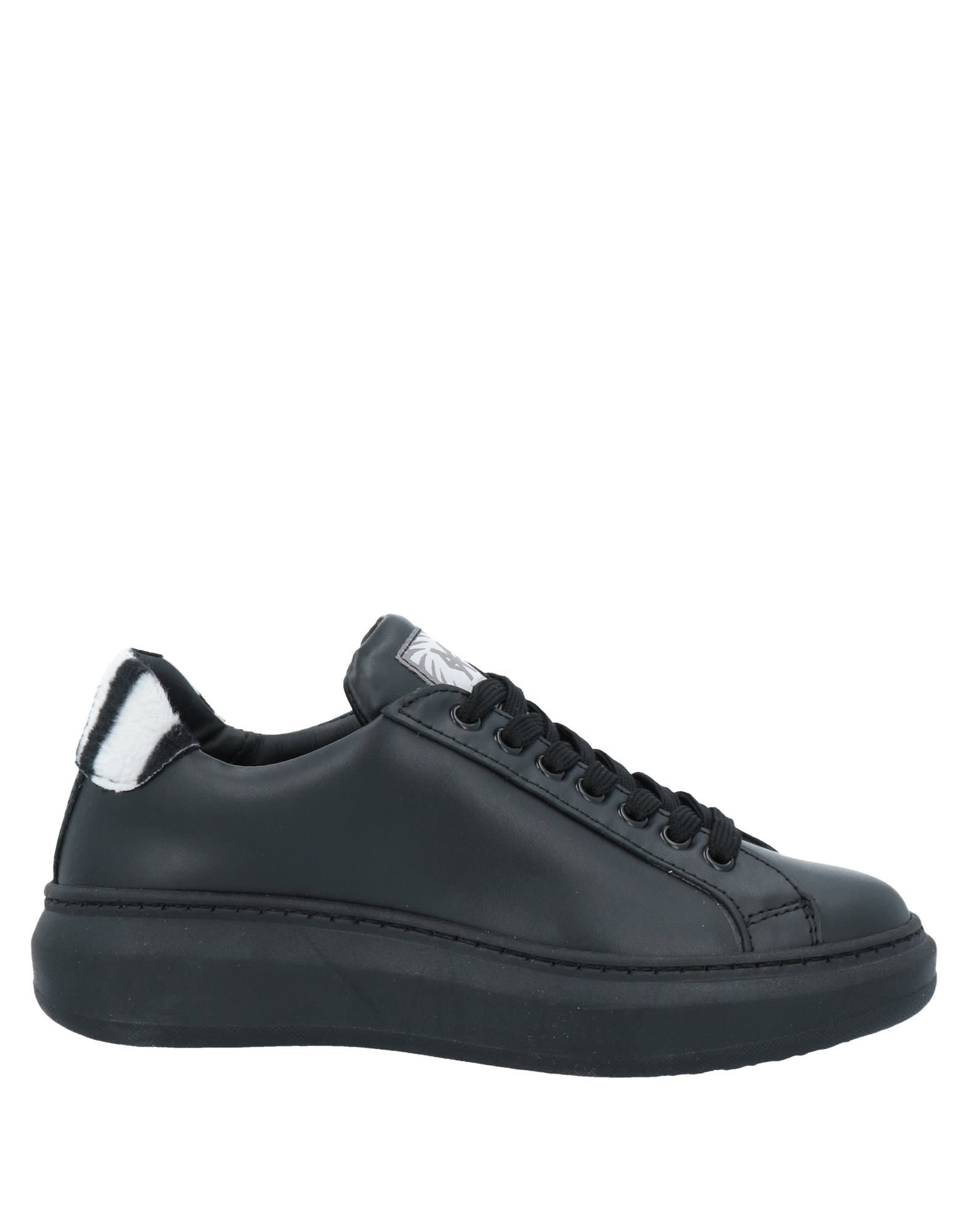 ROBERTO BOTTICELLI Sneakers Damen Schwarz von ROBERTO BOTTICELLI