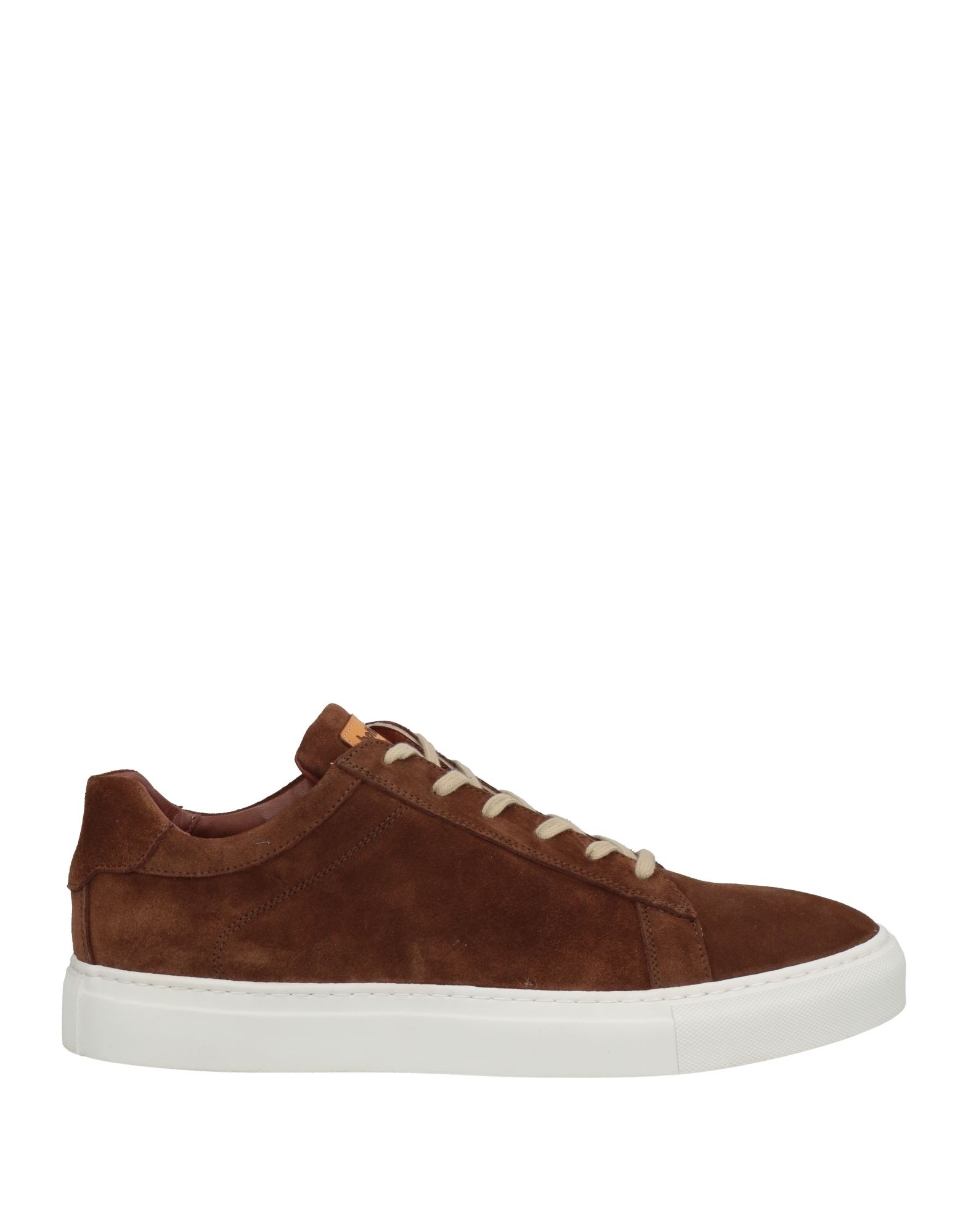 ROBERTO BOTTICELLI Sneakers Herren Braun von ROBERTO BOTTICELLI