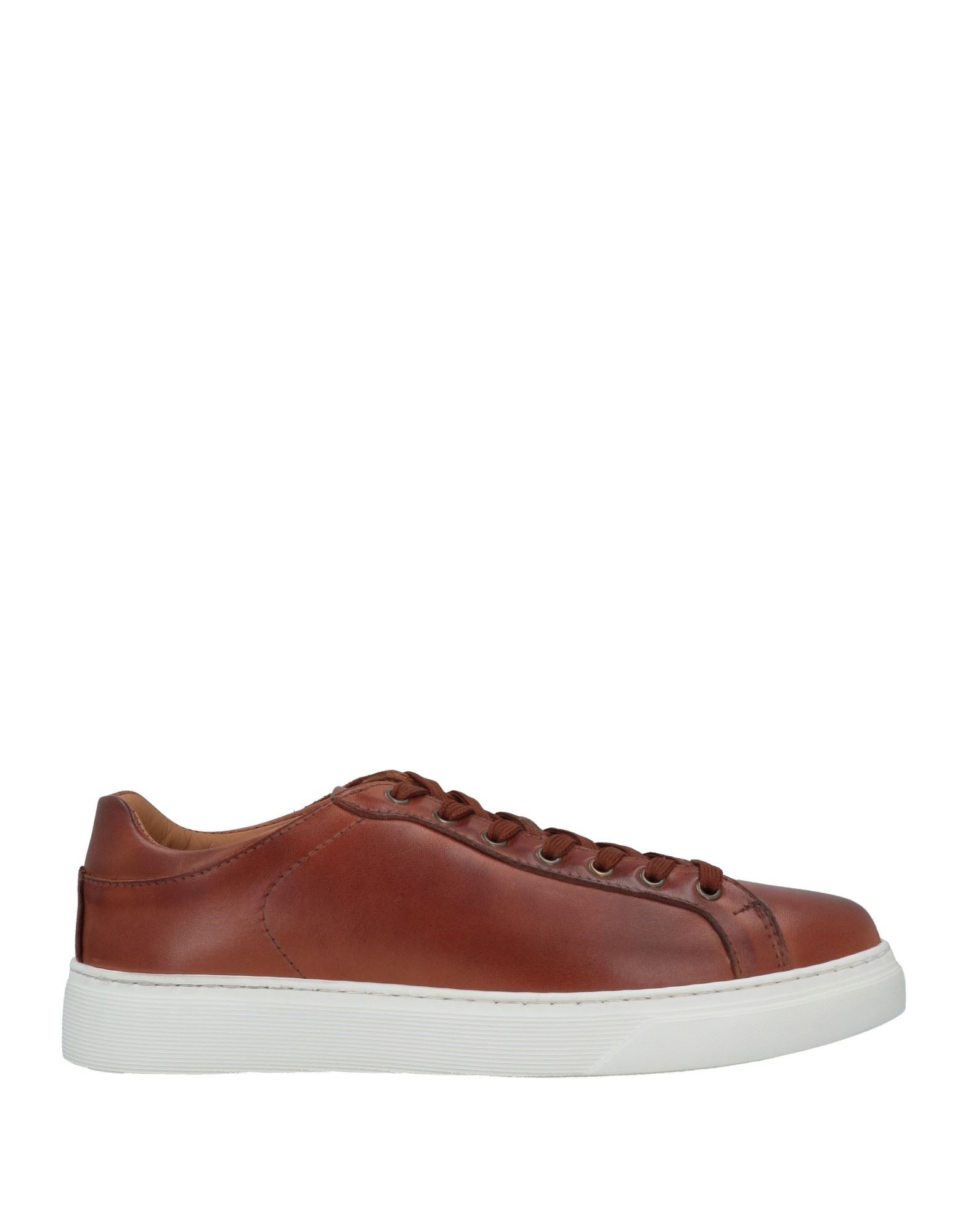 ROBERTO BOTTICELLI Sneakers Herren Braun von ROBERTO BOTTICELLI