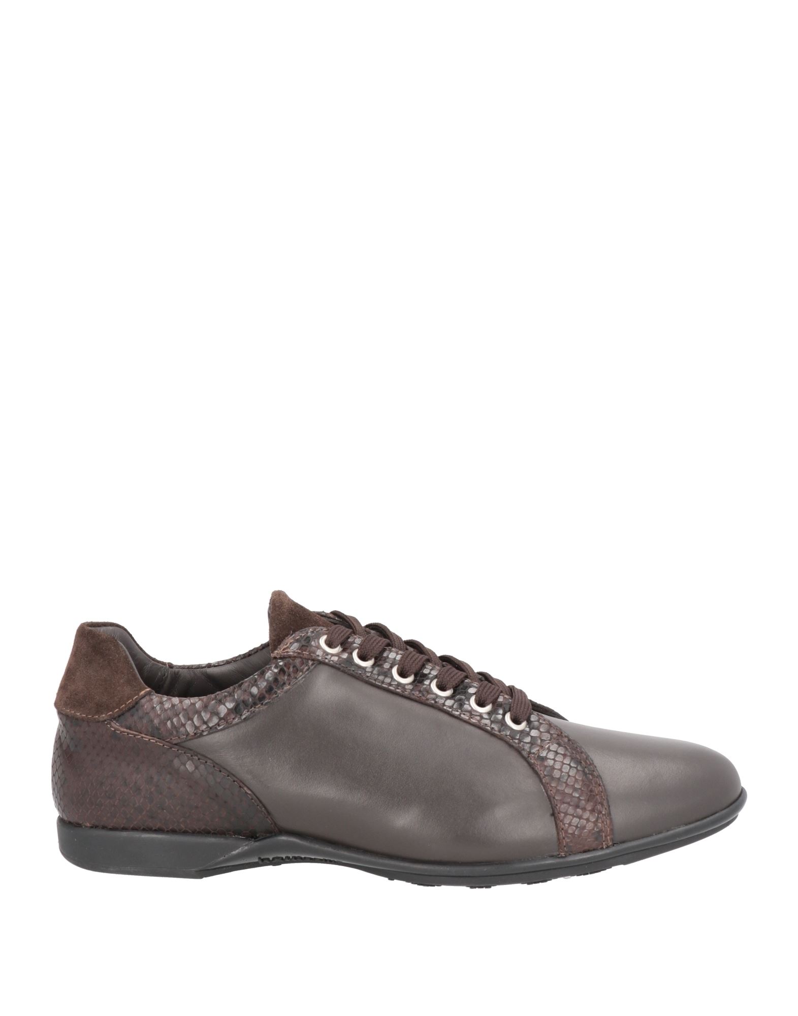 ROBERTO BOTTICELLI Sneakers Herren Dunkelbraun von ROBERTO BOTTICELLI