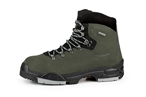 ROBUSTA Unisex Calzado seguridad DASCILUS S3+CI+HI+HRO+WR Acero 35/50, Gris, 41 EU Weit von ROBUSTA