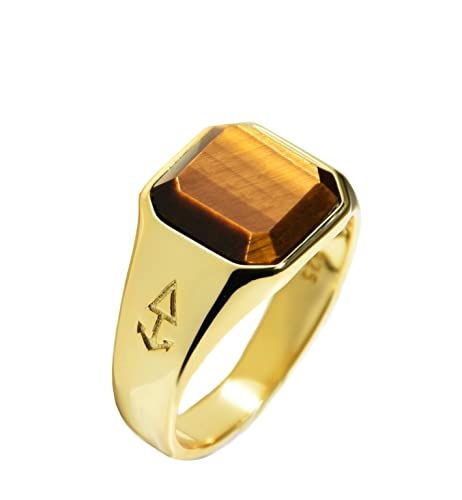 Rock and Steel Herren Ring Horus Gold Siegelring mit Tigerauge Stein aus 925 Sterling Silber 18K Vergoldet (69 (22.0 mm)) von ROCK & STEEL GERMANY