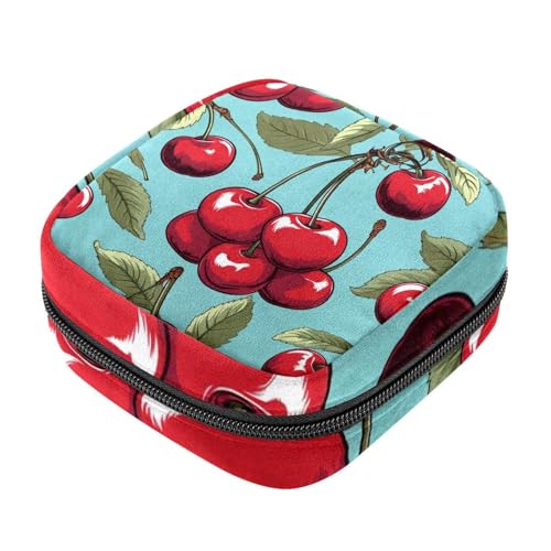 Cherry-821 Set für die erste Periode für Mädchen, Tampon-Slipeinlagen, Menstruations-Geldbörse, Stilleinlagen-Halter mit Reißverschluss, hygienischer Serviettenbeutel-Organizer von RODAILYCAY