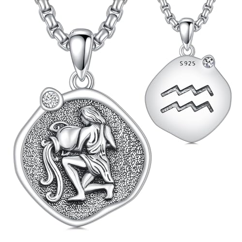 ROMANTICWORK Sternzeichen Wassermann Kette 925 Sterling Silber Wassermann Anhänger Halskette Sternbild Astrologie Horoskop Schmuck Geschenke für Damen Herren von ROMANTICWORK