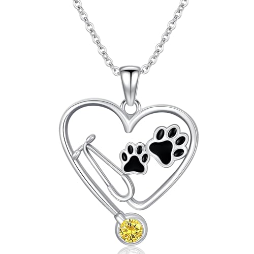 ROMANTICWORK November Geburtsstein Stethoskop Kette für Damen 925 Sterling Silber Veterinärmedizin Stethoskop Halskette Veterinärmedizin Schmuck Krankenschwester Geschenke für Damen ROMANTICWORK November Geburtsstein Stethoskop Kette für Damen 925 Sterling Silber Veterinärmedizin Stethoskop Halskette Veterinärmedizin Schmuck Krankenschwester Geschenke für Damen von ROMANTICWORK