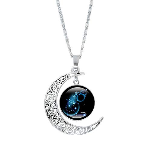 ROMIDA 12 Sternbild Halskette 925 Sterling Silber Unisex 12 Horoskop Birthstone Ketten Wunsche Gravur Halskette 12 Sternzeichen Kristall Sternbild Anhänger Hypoallergen (1pc-Aquarius) von ROMIDA