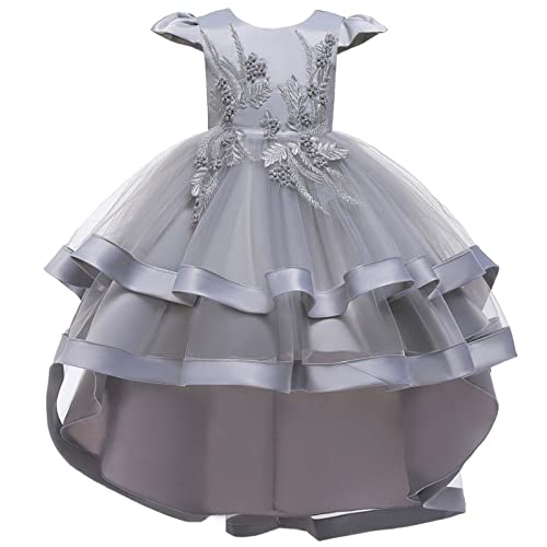 ROMIDA Blumenmädchen Kleid Kinder Langes Abendkleid Geburtstag Partykleid Spitze Maxikleid Ärmellos Prinzessin Festliches Festkleid Spitzenkleid, Grau, 3-4 Jahre von ROMIDA