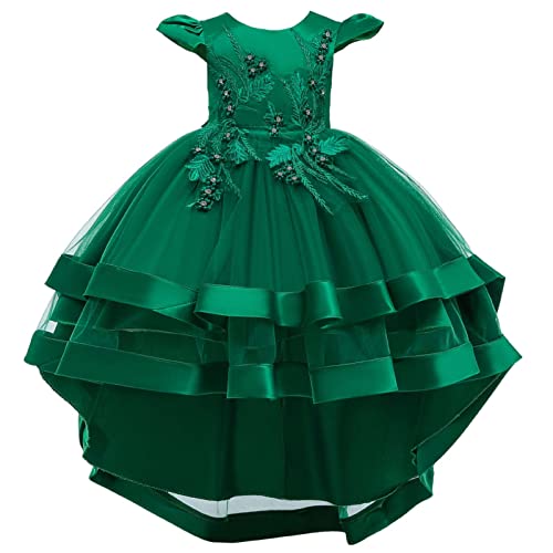 ROMIDA Blumenmädchen Kleid Kinder Langes Abendkleid Geburtstag Partykleid Spitze Maxikleid Ärmellos Prinzessin Festliches Festkleid Spitzenkleid, Grün, 3-4 Jahre von ROMIDA