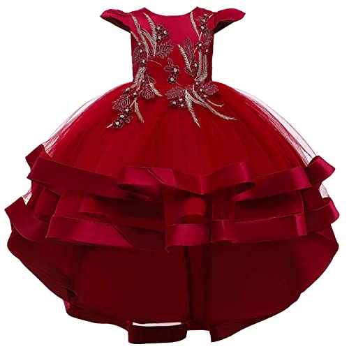 ROMIDA Blumenmädchen Kleid Kinder Langes Abendkleid Geburtstag Partykleid Spitze Maxikleid Ärmellos Prinzessin Festliches Festkleid Spitzenkleid von ROMIDA