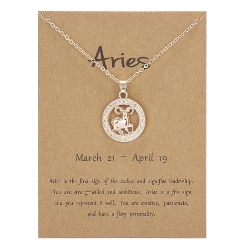 ROMIDA Mädchen Sternzeichen Halskette 925 Sterling Silber Anhänger Kette Muttertag schmuck halskette Geburtstag Geschenke für Mädchen Damen Tochter Jahrestag von ROMIDA