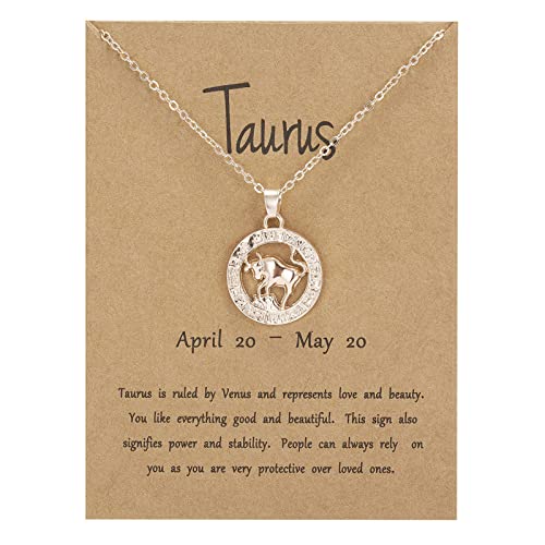 ROMIDA Mädchen Sternzeichen Halskette 925 Sterling Silber Anhänger Kette Muttertag schmuck halskette Geburtstag Geschenke für Mädchen Damen Tochter Jahrestag von ROMIDA