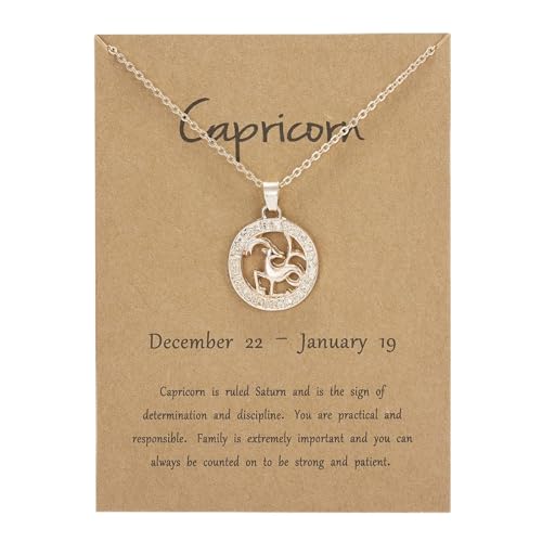 ROMIDA Mädchen Sternzeichen Halskette 925 Sterling Silber Anhänger Kette Muttertag schmuck halskette Geburtstag Geschenke für Mädchen Damen Tochter Jahrestag von ROMIDA