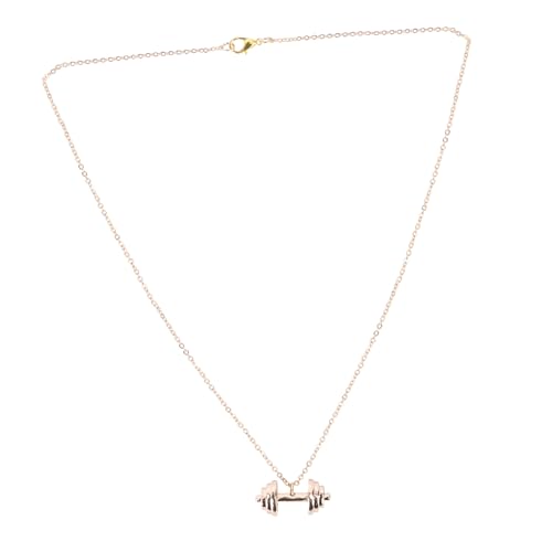 ROMISBABA Stylische Hip Hop Halskette mit Kurzhantel Anhänger Modische Kette für Herren Rostfrei Langlebig Einzigartiges Design Trendiger Modeschmuck für Männer und Jungen ROMISBABA Stylische Hip Hop Halskette mit Kurzhantel Anhänger Modische Kette für Herren Rostfrei Langlebig Einzigartiges Design Trendiger Modeschmuck für Männer und Jungen von ROMISBABA