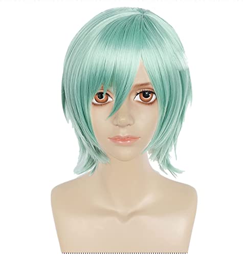 RONGYEDE-Wig Anime Cosplay Anime Cosplay Perücken Kazehaya Tatsumi Cosplay Perücke for Ensemble Sterne Requisiten Zubehör mit kostenlosem Wig-Kappe von RONGYEDE