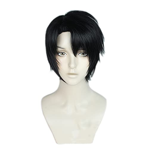 RONGYEDE-Wig Anime Cosplay Anime-Perücke Chainsaw Man Cosplay Kishibe-Perücke Kurze Schwarze Perücke Kostüm-Halloween-Perücke for Halloween Kostümparty Anime-Show Cosplay-Event Konzerte von RONGYEDE