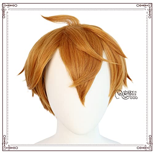 RONGYEDE-Wig Anime Cosplay Atomic God D'Artaria Prince cos Anime Perücke Eloi von RONGYEDE