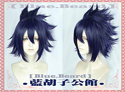 RONGYEDE-Wig Anime Cosplay My Heroes Academy Tianzhu Luan Blue Purple Fonds COS Animation Edition von RONGYEDE