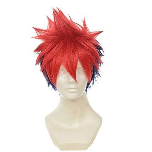 RONGYEDE-Wig Anime Cosplay Shokugeki No Soma Yukihira Souma Cosplay Perücke for Herren Jungen 30cm Kurz Glatt Hitzebeständiges Kunsthaar Blau Rot Gemischt von RONGYEDE