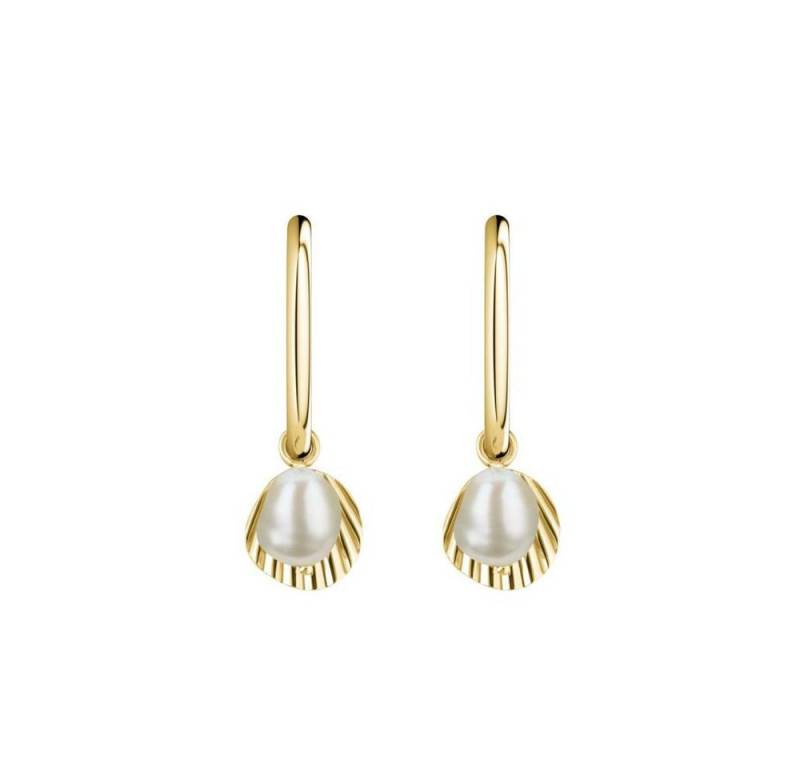 ROSEFIELD Ohrring-Set ROSEFIELD Ohrringe Creole Muschel mit Perle Gold von ROSEFIELD